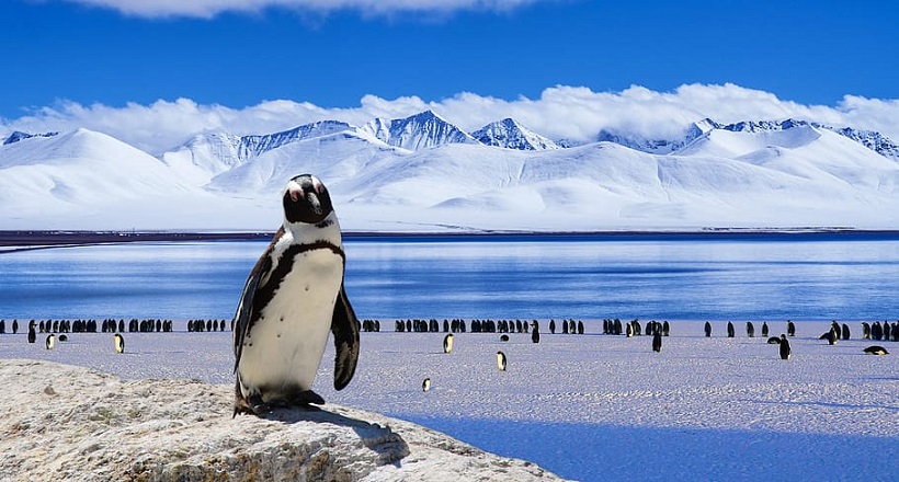 continent-quiz-15-geography-facts-about-antarctica-8-98-percent-covered-by