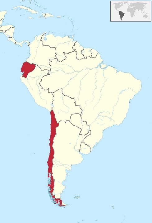 continent-quiz-15-geography-questions-about-south-america-7-countries-dont-border-brazil